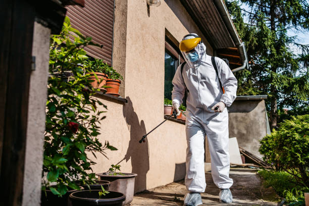 Best Local Pest Control Services  in Churchill, PA